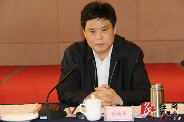 茶陵县委书记彭新军作重要讲话