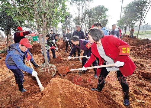 　　为了改善环境，大托铺街道连续组织了多次造绿行动。长沙晚报记者 王志伟 摄(资料图片)