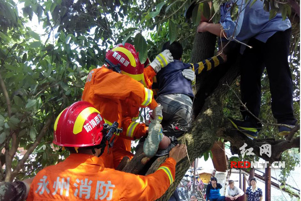 图为消防官兵、民警对受困学生施救。