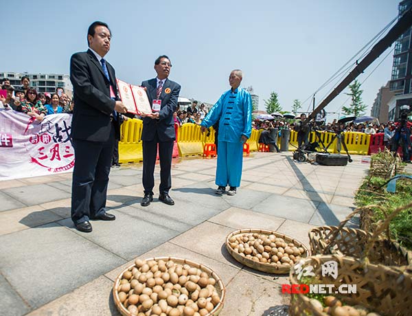 世界纪录协会为洪江市颁发世界最大一锅地荠菜煮鸡蛋的证书。