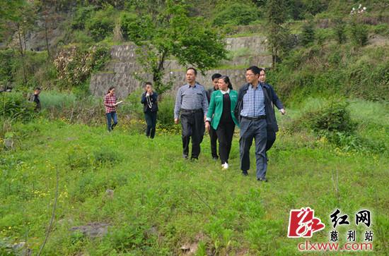 邱初开一行实地查看杨桥村溪堤治理现状