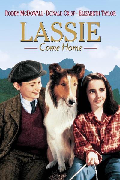 1943年版《灵犬莱西》海报