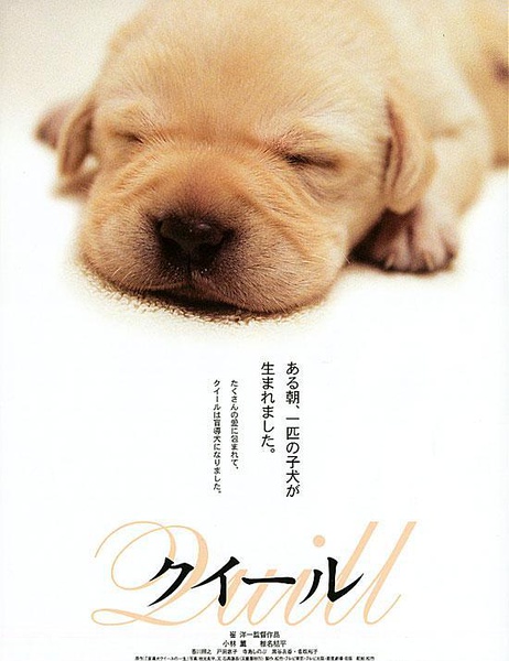《导盲犬小Q》海报