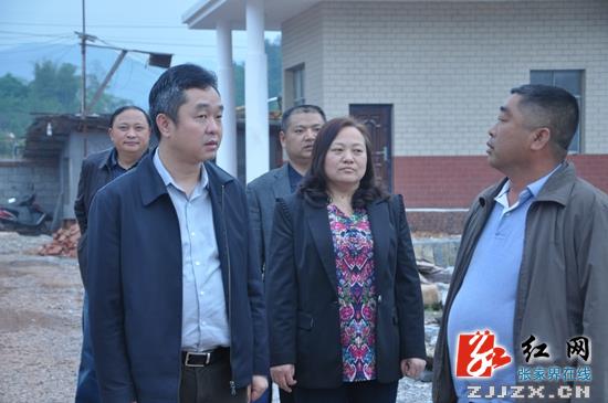 桑植：刘卫兵调研蔬菜产业建设