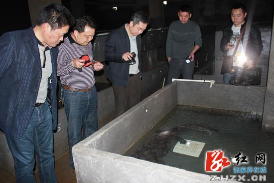 刘卫兵：创新探索联社机制 做大做强大鲵产业