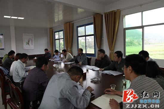 尚生龙调研教字垭镇特色旅游风情镇建设