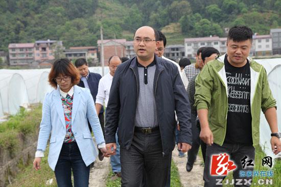 尚生龙调研教字垭镇特色旅游风情镇建设