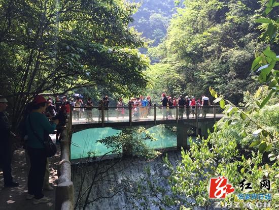 “五一”临近 张家界大峡谷景区错峰出游“高温”