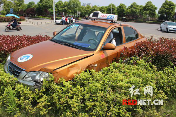 的士为避让小车，直接开进了花坛