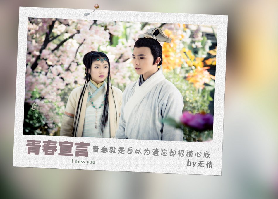 杨洋