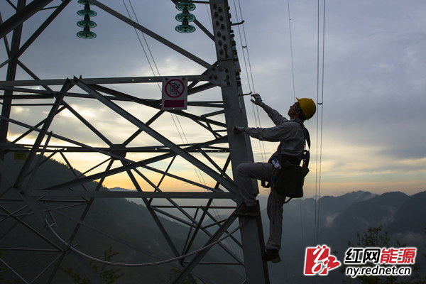杨凌云在竹罗线120号塔登杆作业 喻军摄