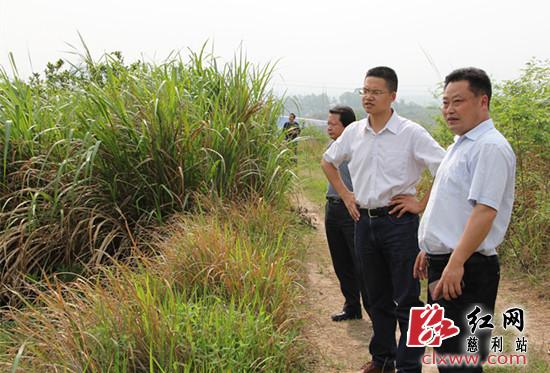高靖生(右二)一行实地查看水钻产业园规划选址