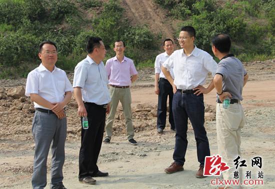 交流探讨杜仲产业园土地平整相关事项