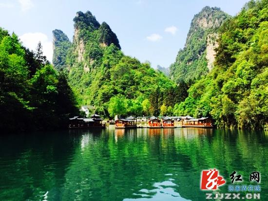 武陵源雨过天晴迎旅游高峰 云海胜景似仙境