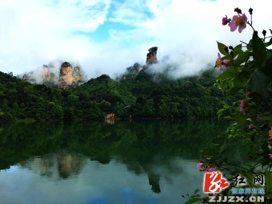 武陵源雨过天晴迎旅游高峰 云海胜景似仙境