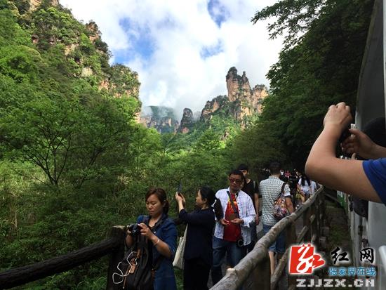 武陵源雨过天晴迎旅游高峰 云海胜景似仙境