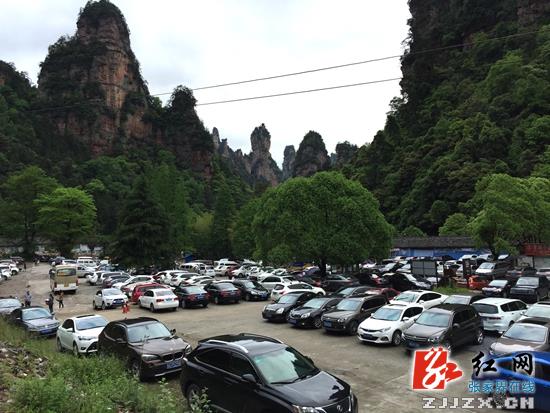 自驾车蜂涌,森林公园停车场“座无虚席” 吴勇兵摄
