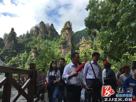 武陵源核心景区十里画廊游人如织 吴勇兵摄