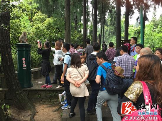 游客在黄石寨景区游览 吴勇兵摄