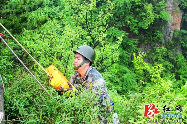 张家界黄石寨“智能蜘蛛人”悬崖捡垃圾 助力环保倡导文明