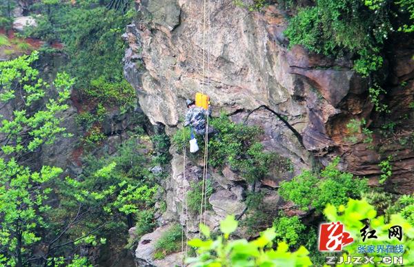 张家界黄石寨“智能蜘蛛人”悬崖捡垃圾 助力环保倡导文明
