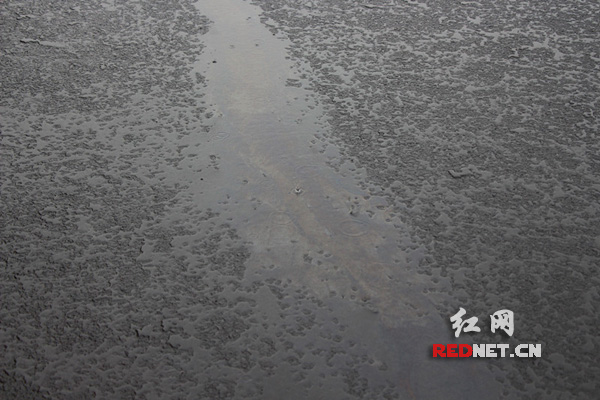 泄露的煤焦油污染路面，十分油滑