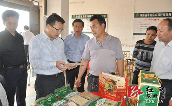吴德华（左二）了解杏子芙蓉心五色糙米的种植和销售情况