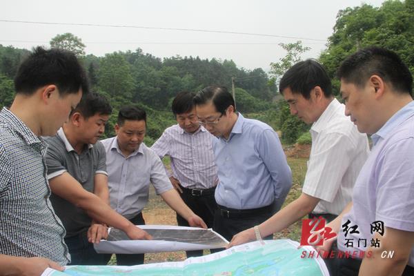 石门县委书记谭本仲在澧水三桥南岸桥址调研