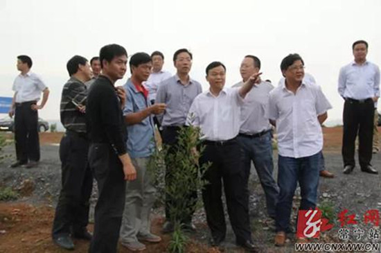 常宁市委书记曾义国调研农业产业发展