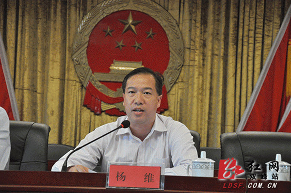 双峰县委副书记、县长杨维