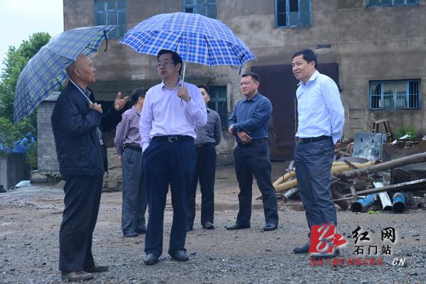 石门县委书记谭本仲一行在新关镇燃气烧瓷项目建设点调研