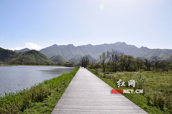 大九湖湿地公园的青山绿水大九湖湿地公园的青山绿水。