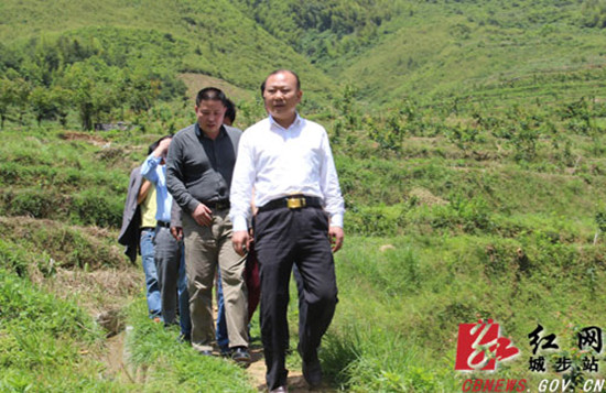 罗建南在白岩山村苗香梨基地调研 肖丁勤摄