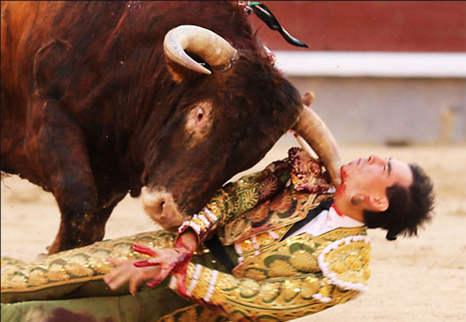 西班牙斗牛场上演惊魂一幕 斗牛士颈部被牛角