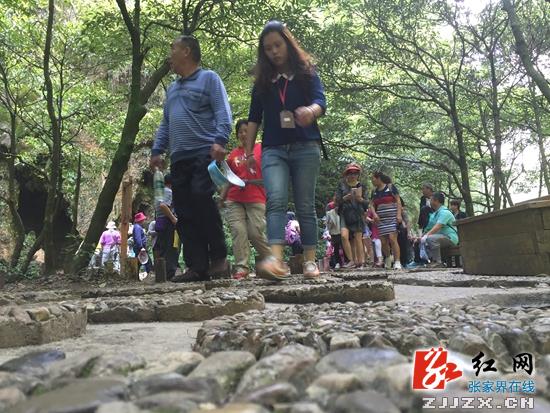 张家界大峡谷景区进入旅游“红五月”