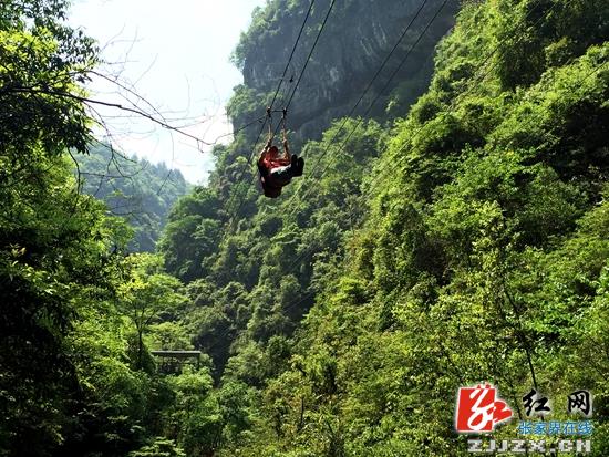 张家界大峡谷景区进入旅游“红五月”
