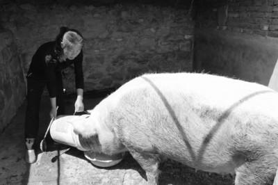 女子替亡夫还41万外债婆婆心疼让其改嫁(图)