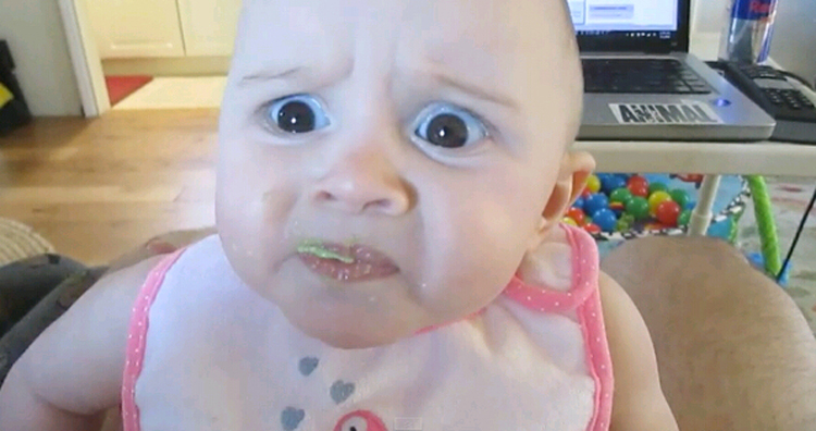 外国宝宝第一次挑战吃鳄梨,表情超萌(网页截图)