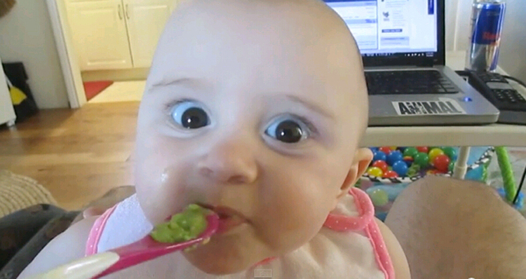 说不定鳄梨会成为这位宝宝长大后喜欢的水果呢!