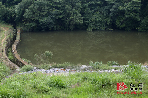 水库旁边被污染的小水塘