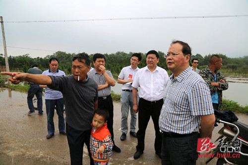 村民向严兴德讲述农作物受灾情况