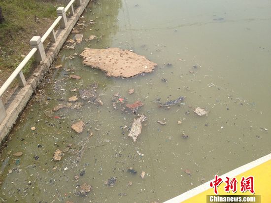 探访江苏“黑臭河”：废料、污水成“罪魁”