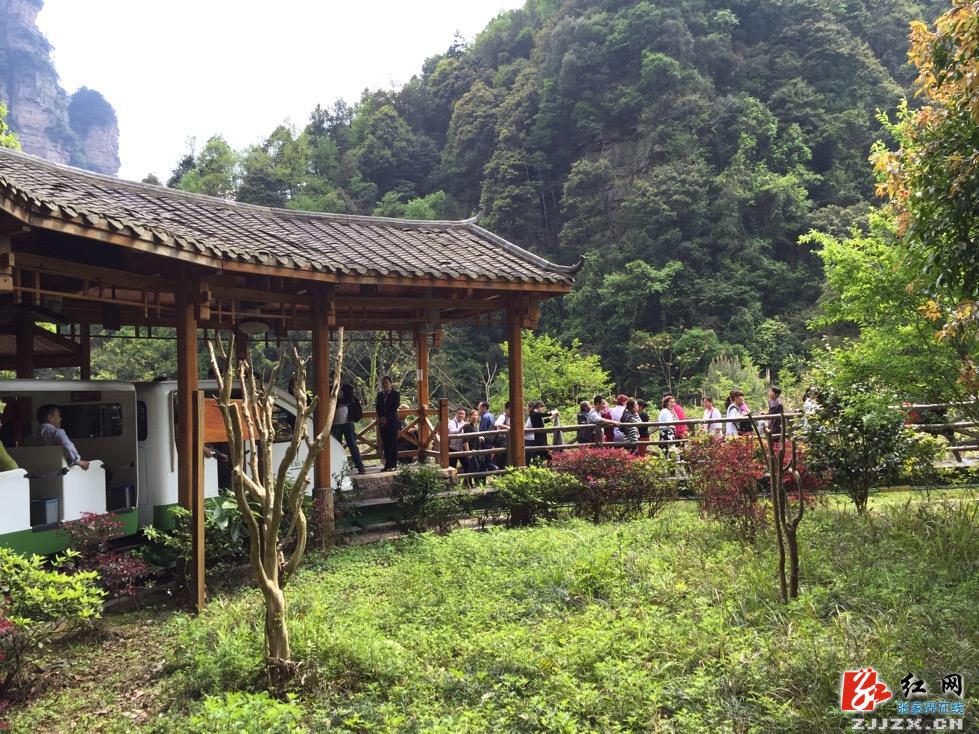 湖南公布首批“全国旅游价格信得过景区” 武陵源上榜