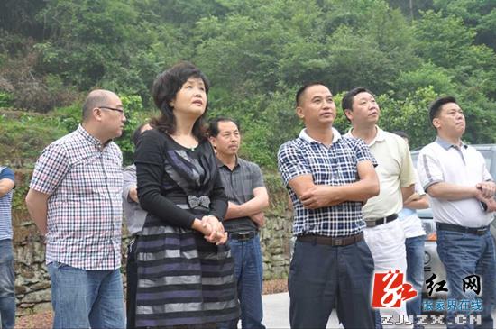 永定区王家坪镇传统村落保护工作获省住建厅肯定