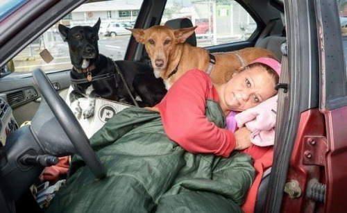 女子付不起房租与2狗同睡汽车获援助搬新家（图）