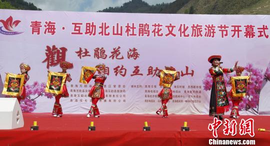 中国唯一土族自治县举办首届杜鹃花文化旅游节