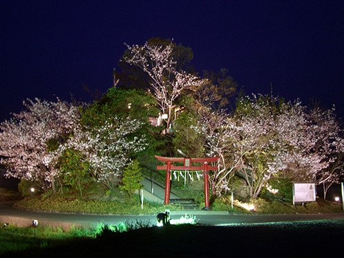 日本最矮山举行开山仪式海拔仅6.1米(图)