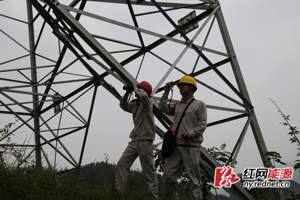输电运检分公司班组在塔位现场巡线