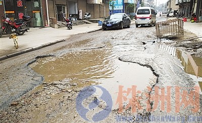 图为株雷路雷打石镇路段 记者 谢慧 摄