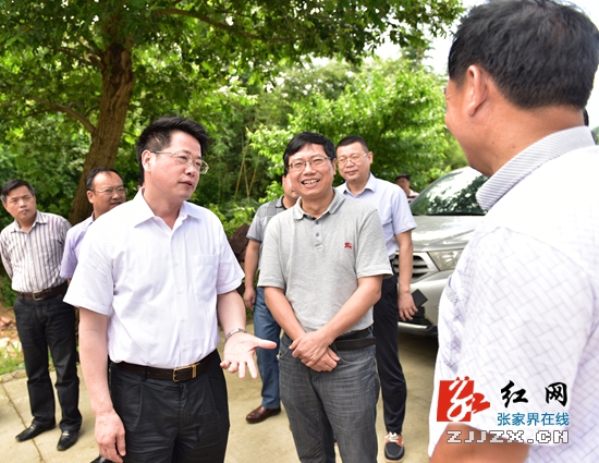 【简讯】杨光荣深入慈利县调研